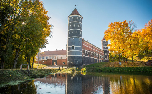 11_Panemunes pilis.jpg